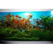 Hailea "V-60" 60 л/мин, 35 Вт (компрессор диафрагмовый)