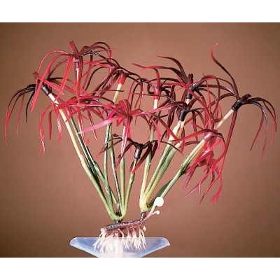 Penn-plax "Бамбук" 13см (растение пластиковое) Penn-plax "Бамбук" 13см (растение пластиковое)