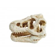 Prime "Череп динозавра" 8.5*6*6 см (декорация пластиковая)