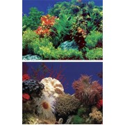 Penn-Plax "Коралловый риф/пресноводные растения"высота 50см. (фон)