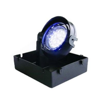 Череп из черепов Череп из черепов