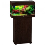 Биодизайн "Start-Up 50" Венге, 50 л, 60*28*38 см (аквариум)