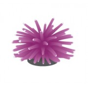 FI "Коралл мягкий фиолетовый" 4.5*4.5*4 см