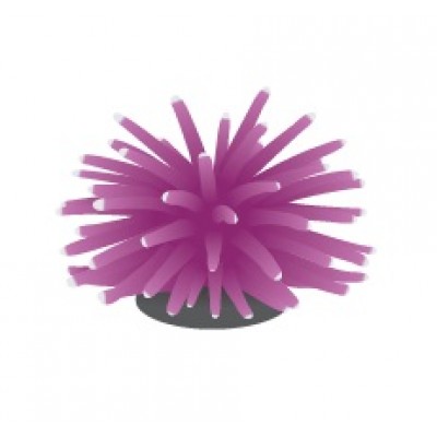 FI "Коралл мягкий фиолетовый" 4.5*4.5*4 см FI "Коралл мягкий фиолетовый" 4.5*4.5*4 см