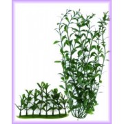Tetra "DecoArt Plant Hygrophila M"