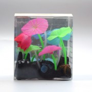 Glo цветы и кораллы