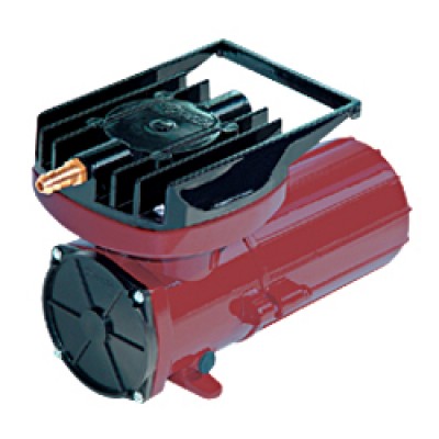 Glo цветы и кораллы Glo цветы и кораллы