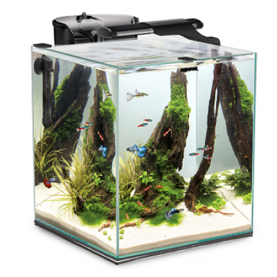 Aquael "Fish & Shrimp Set Duo" Чёрный, 49 л, 35*35*40 см (аквариумный набор) Aquael "Fish & Shrimp Set Duo" Чёрный, 49 л, 35*35*40 см (аквариумный набор)