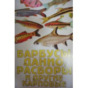 Очень маленький аксолотль (120 р.)