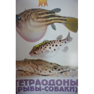 Лагуна "Грунт Лагуна" 2-5 мм, 2 кг Лагуна "Грунт Лагуна" 2-5 мм, 2 кг