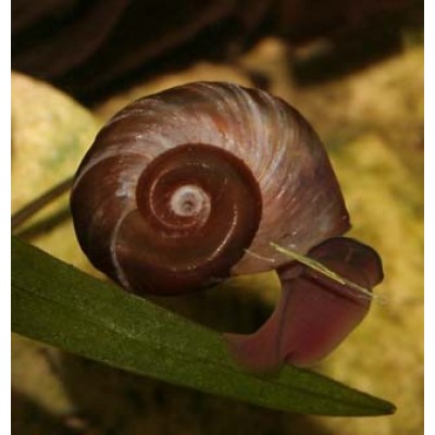 Катушка Катушка