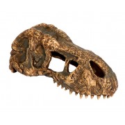 Exo Terra "T-Rex Scull" S (череп тираннозавра пластиковый)