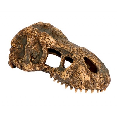 Exo Terra "T-Rex Scull" S (череп тираннозавра пластиковый) Exo Terra "T-Rex Scull" S (череп тираннозавра пластиковый)