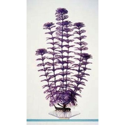 Penn-plax "Амбулия перламутровая лиловая" 22см (растение пластиковое) Penn-plax "Амбулия перламутровая лиловая" 22см (растение пластиковое)