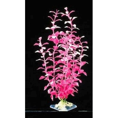 Распылитель воздуха корундовый, цилиндр на пластиковой основе 15*70мм (блистер) (ASC-89029) Распылитель воздуха корундовый, цилиндр на пластиковой основе 15*70мм (блистер) (ASC-89029)