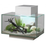 Fluval Edge 23 White