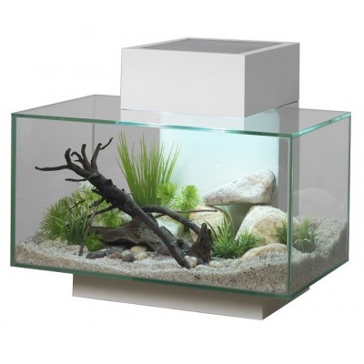 Fluval Edge 23 White Fluval Edge 23 White
