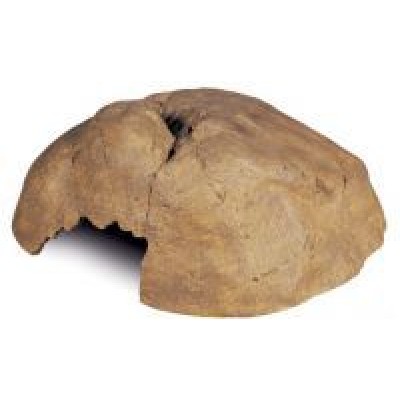 Azoo "Средство для ухода за панцирем" 20 мл Azoo "Средство для ухода за панцирем" 20 мл