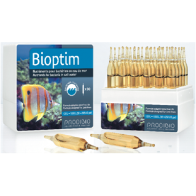 Пальмы большие (389 р.) Пальмы большие (389 р.)