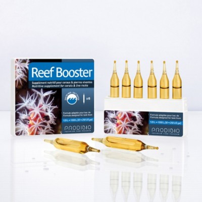 Круглолистная композиция (200 р.) Круглолистная композиция (200 р.)