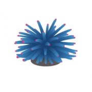 FI "Коралл мягкий голубой" 4.5*4.5*4 см