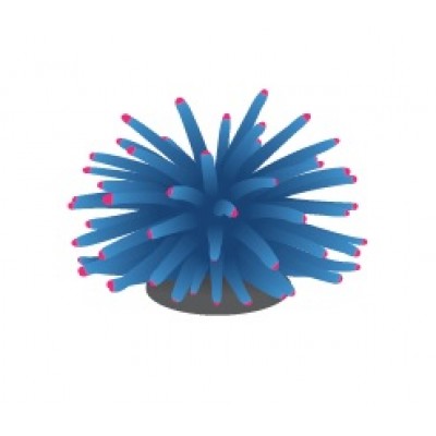 FI "Коралл мягкий голубой" 4.5*4.5*4 см FI "Коралл мягкий голубой" 4.5*4.5*4 см