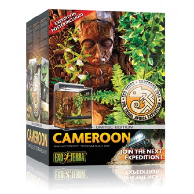 Hagen "Базовый набор тропический лес Камерун" 45 x 45 x 60 см Hagen "Базовый набор тропический лес Камерун" 45 x 45 x 60 см