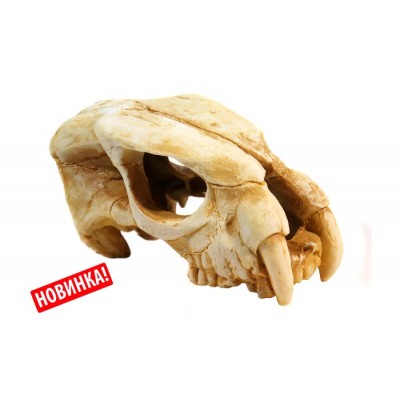 Deksi "Череп динозавра № 1001" 20*9*12 см Deksi "Череп динозавра № 1001" 20*9*12 см