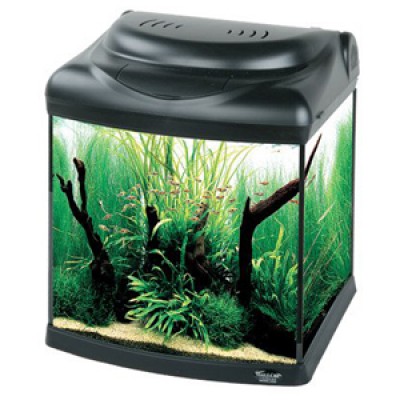 Биодизайн "Атолл 500" Золотой Орех, 465 л, 151*56*68 см Биодизайн "Атолл 500" Золотой Орех, 465 л, 151*56*68 см