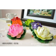 Плавающие цветы