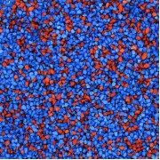 Prime "Синий+Бордо" 3-5 мм, 1кг (грунт)