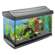 Tetra "AquaArt Discover Line" 60 л, 60*31*42 см (аквариумный комплект)