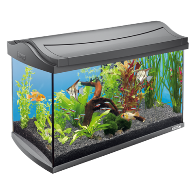 Tetra "AquaArt Discover Line" 60 л, 60*31*42 см (аквариумный комплект) Tetra "AquaArt Discover Line" 60 л, 60*31*42 см (аквариумный комплект)