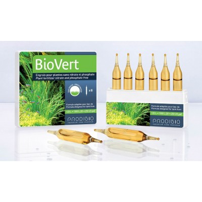 Бонсай фиолетовый (550 р.) Бонсай фиолетовый (550 р.)