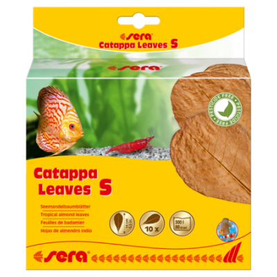 Sera "Catappa Leaves S" 14 см, 10 шт (листья индийского миндаля) Sera "Catappa Leaves S" 14 см, 10 шт (листья индийского миндаля)