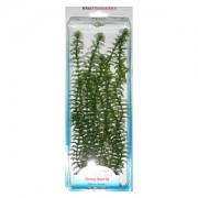 Tetra "DecoArt Plant Anacharis M"