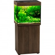 Биодизайн "Риф 100" Золотой Орех, 100 л, 56*44*52 см (аквариум)