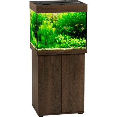 Биодизайн "Риф 100" Золотой Орех, 100 л, 56*44*52 см (аквариум) Биодизайн "Риф 100" Золотой Орех, 100 л, 56*44*52 см (аквариум)