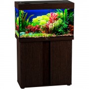Биодизайн "Риф 125" Венге, 125 л, 81*38*52 см (аквариум)