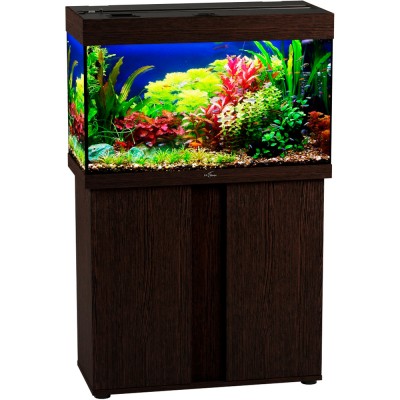 Биодизайн "Риф 125" Венге, 125 л, 81*38*52 см (аквариум) Биодизайн "Риф 125" Венге, 125 л, 81*38*52 см (аквариум)