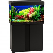 Биодизайн "Риф 125" Чёрный, 125 л, 81*38*52 см (аквариум)