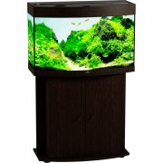 Биодизайн "Панорама 120" Венге, 117л, 81*38*52 см (аквариум)