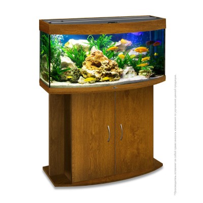 Растение "Апоногетон" 5*15 см Растение "Апоногетон" 5*15 см