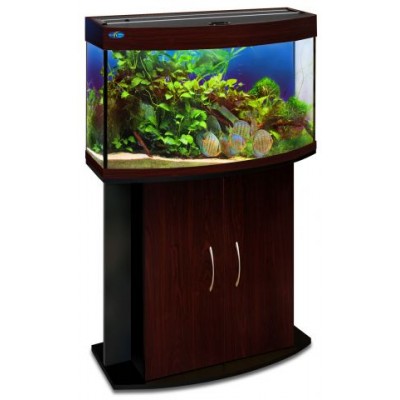 Растение "Апоногетон" 25 см Растение "Апоногетон" 25 см