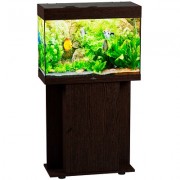 Биодизайн "Start-Up 85" Венге, 85 л, 70*30*50 см (аквариум)