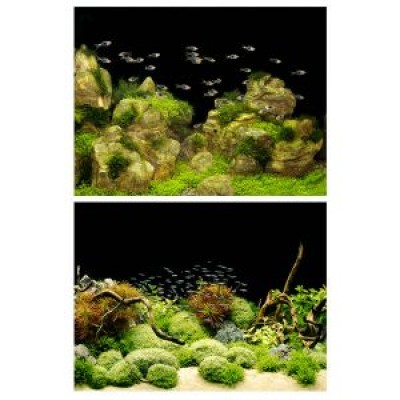 Мотыль замороженный Мотыль замороженный