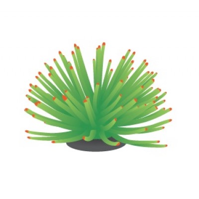 FI "Коралл мягкий зелёный" 13*13*10 см FI "Коралл мягкий зелёный" 13*13*10 см