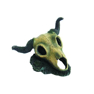 Prime "Череп быка" 18*15.5*14.5 см (декорация пластиковая) Prime "Череп быка" 18*15.5*14.5 см (декорация пластиковая)