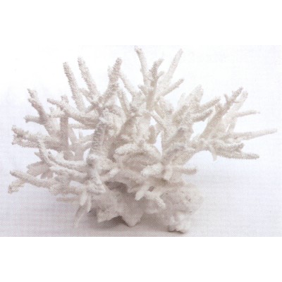 Коралл пластиковый белый, 40*28*25 см (SH9627H) Коралл пластиковый белый, 40*28*25 см (SH9627H)