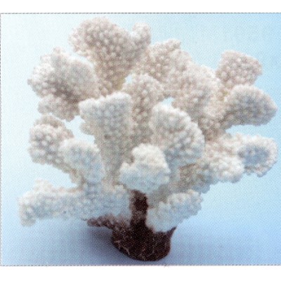 Коралл пластиковый белый, 13.5*12*11.5 см (SH9204W) Коралл пластиковый белый, 13.5*12*11.5 см (SH9204W)